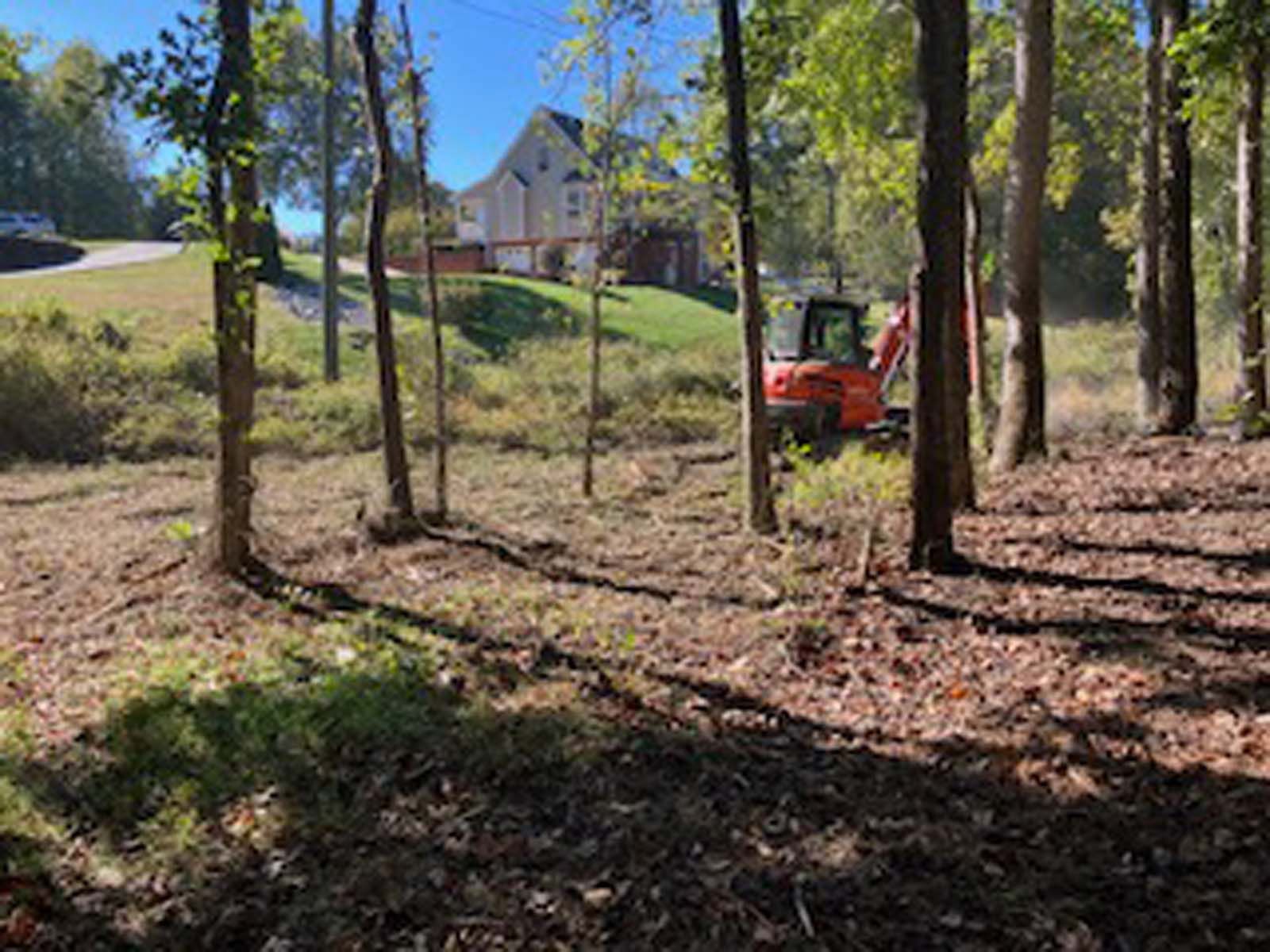 A red excavator is sitting in the middle of a forest next to a house.