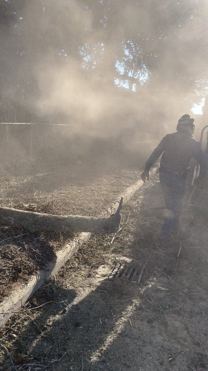Man walking near a tractor and mulch, dust and sun in the air.