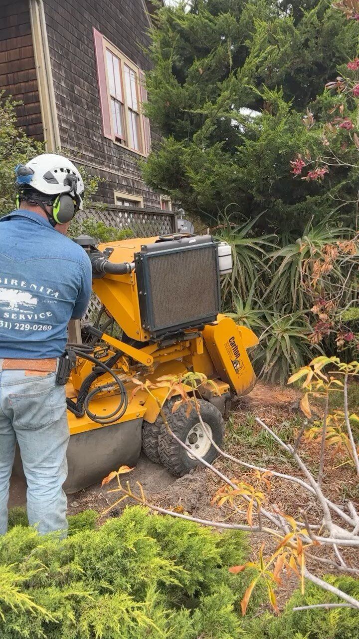 Man operating a yellow stump grinder near a house, removing a tree stump.