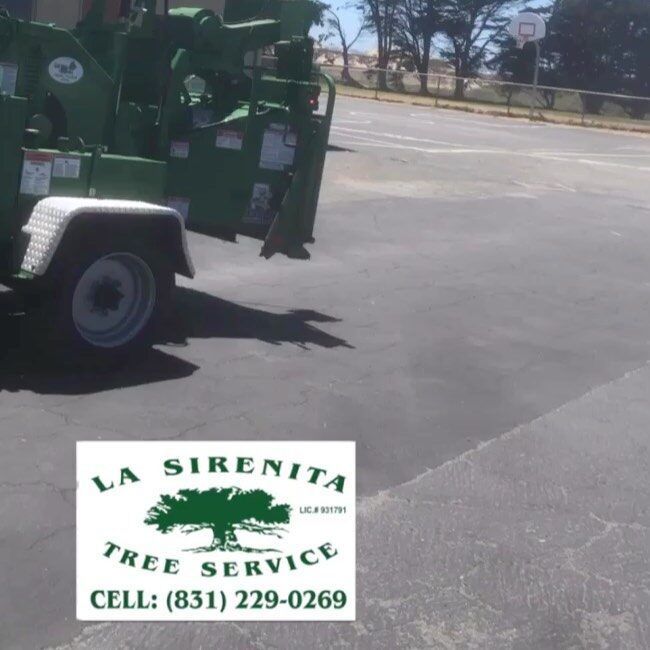 Green tree chipper on asphalt.