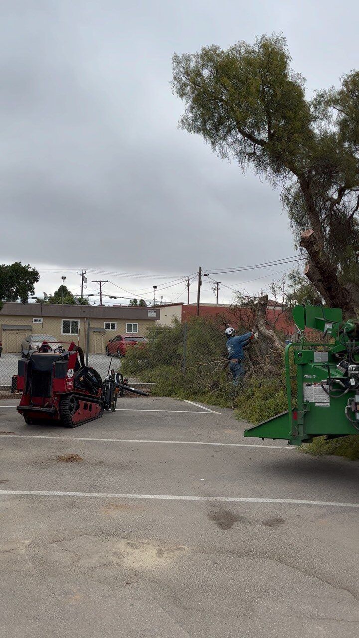 Tree removal in progress: Workers, machinery, and a large tree in a parking lot under a cloudy sky.