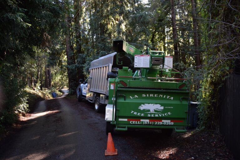Green tree service truck parked on a narrow road, processing tree limbs.