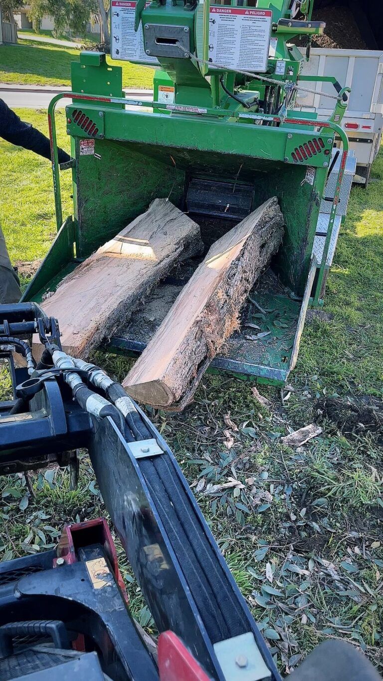 Logs being fed into a green wood chipper. Person's arm in frame. Outdoors, sunny.