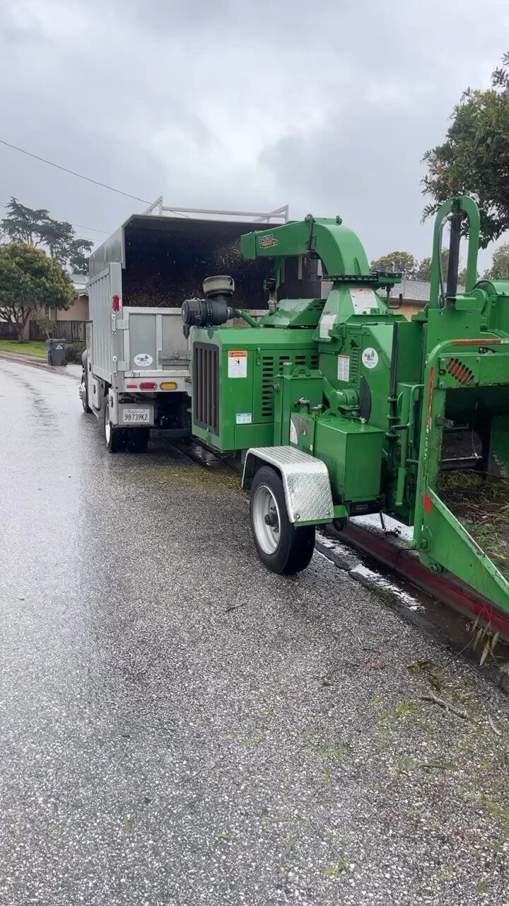 Green wood chipper loading debris into a white dump truck on a wet road.