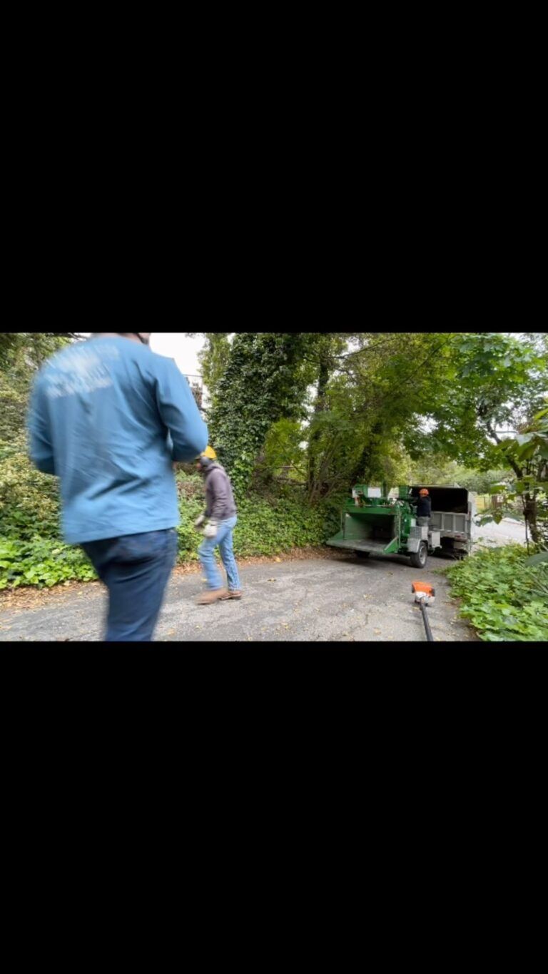 Two men trimming bushes near a green truck on a driveway surrounded by greenery.