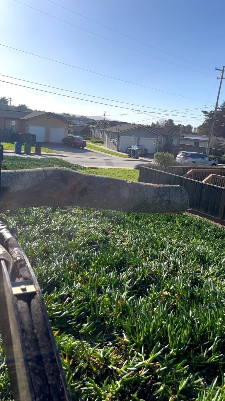 Green grass and street view of a residential neighborhood on a sunny day with cars parked.