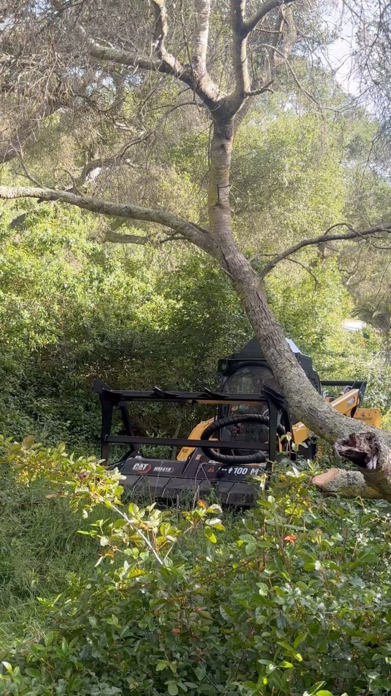 ATV lodged under a tree in dense green foliage, yellow and black vehicle.