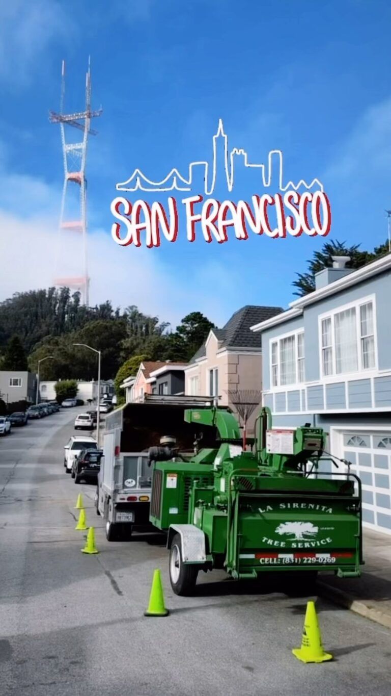 Street view in San Francisco with a tree service truck and the Sutro Tower.