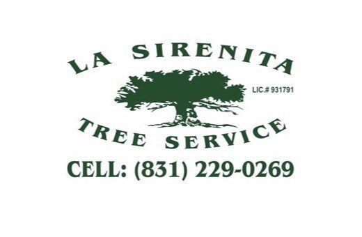 La Sirenita Tree Service logo with green tree illustration and contact information.
