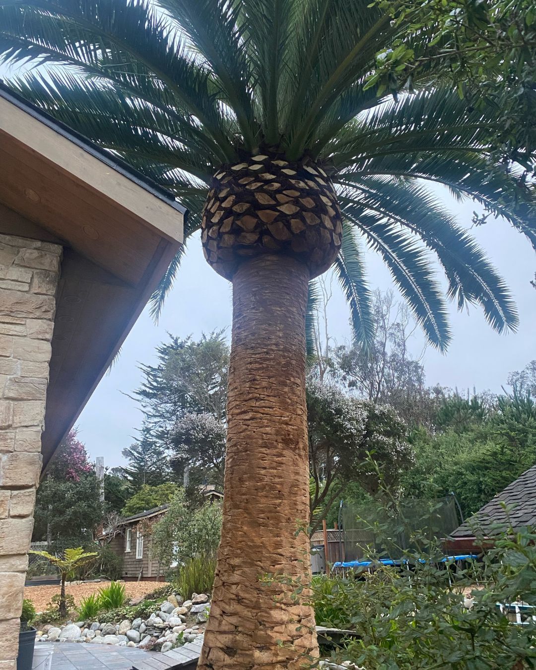 Green truck with chipper, 