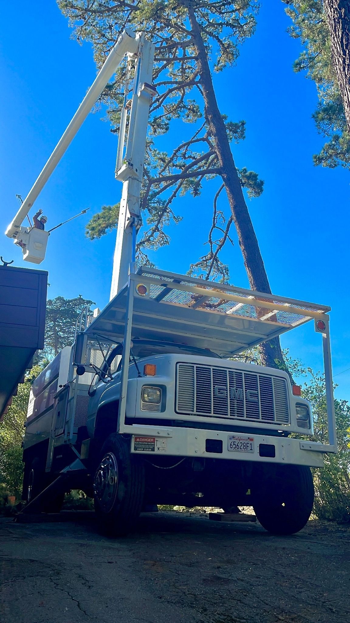 Truck with an extended lift arm cutting a tree against a blue sky.