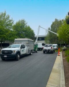 Work trucks and lift equipment parked on asphalt near a building with tree trimming in progress.
