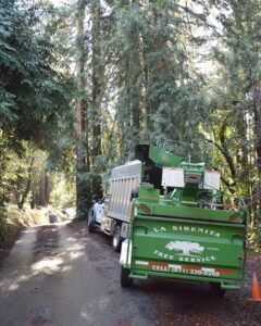 A green La Sirenita Tree Service truck parked on a wooded road, chipping wood.