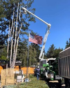Tree trimming with a lift and chipper; American flag in the foreground. A worker operates equipment.