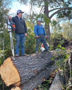 Two men stand on a fallen tree trunk. One holds a chainsaw, the other an ax, in a wooded area.