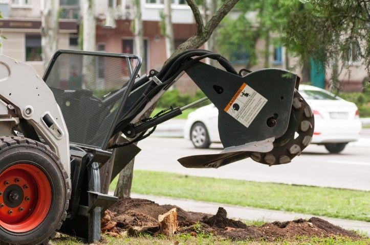 An image of Tree Removal in Winter Haven FL