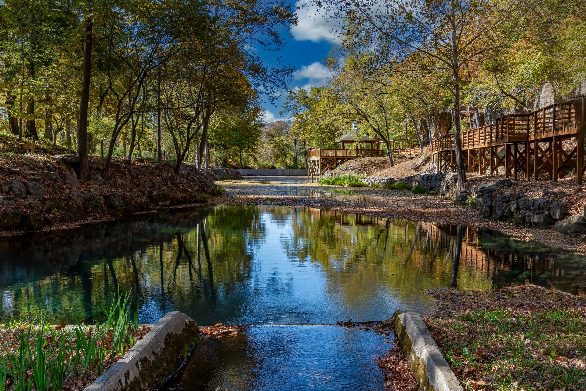 A river in the middle of a forest with a bridge in the background.