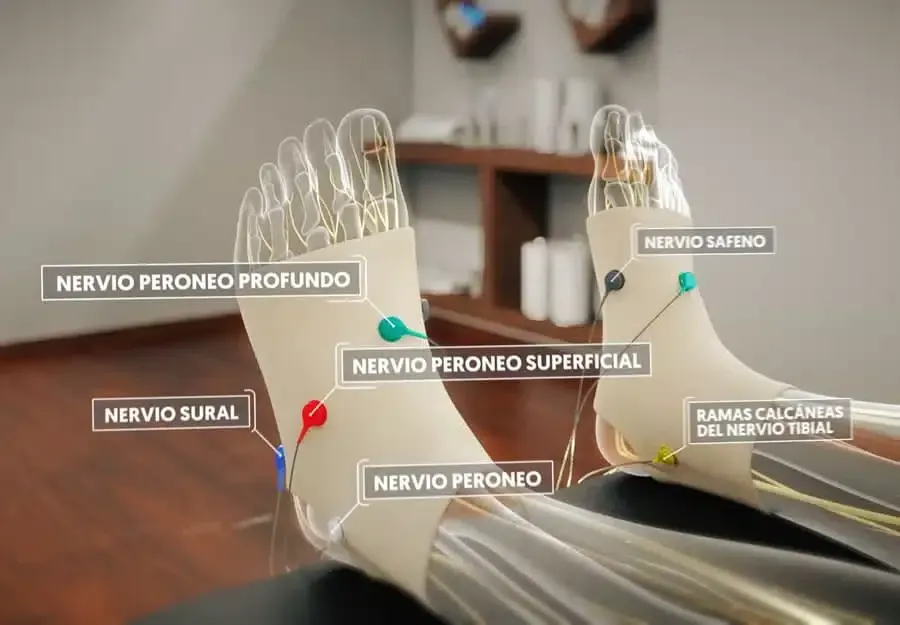 foot therapy in hove