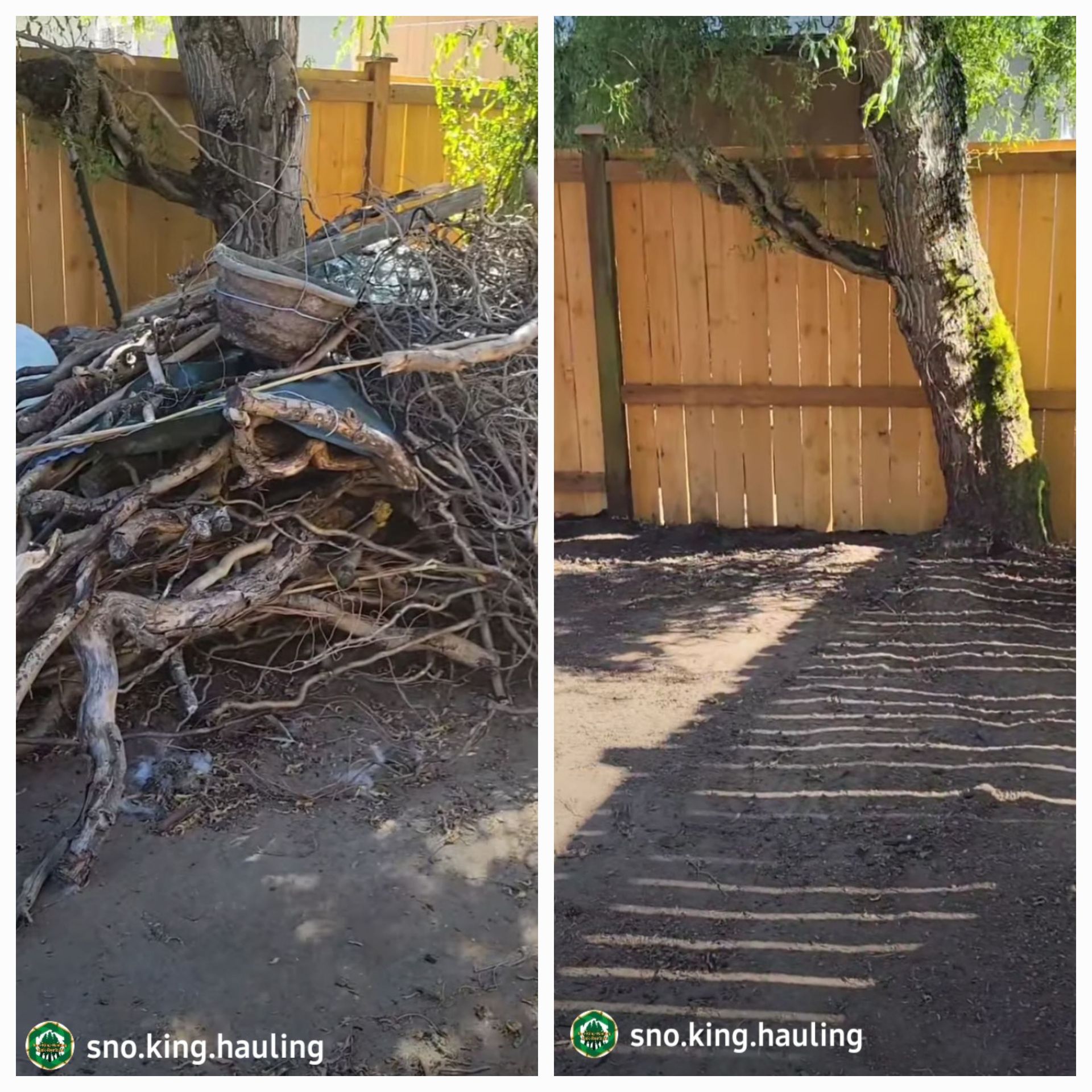Before and after images of a yard debris removal service, showing a cleared area next to a wooden fence.