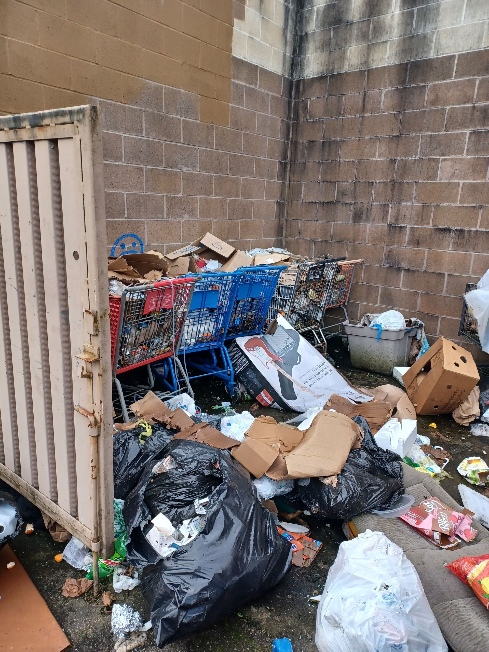 Several shopping carts filled with trash, surrounded by garbage bags and cardboard boxes against a brick wall.