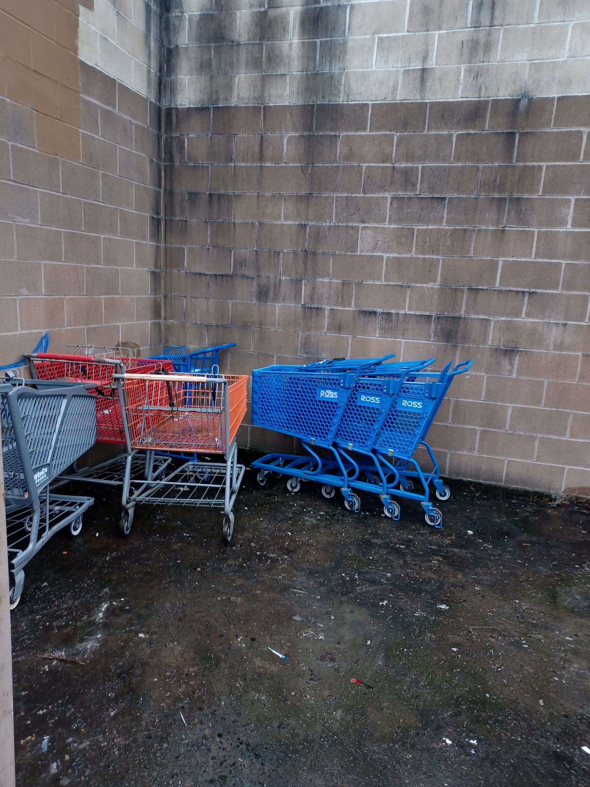 Several red and blue shopping carts are parked in a cluster against a brick wall on a dark, paved surface.