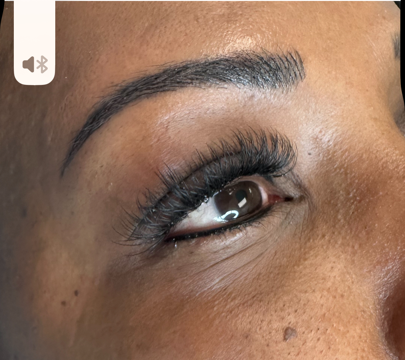 Close-up of an eye with dark eyebrows, long eyelashes, and dark eyeliner.