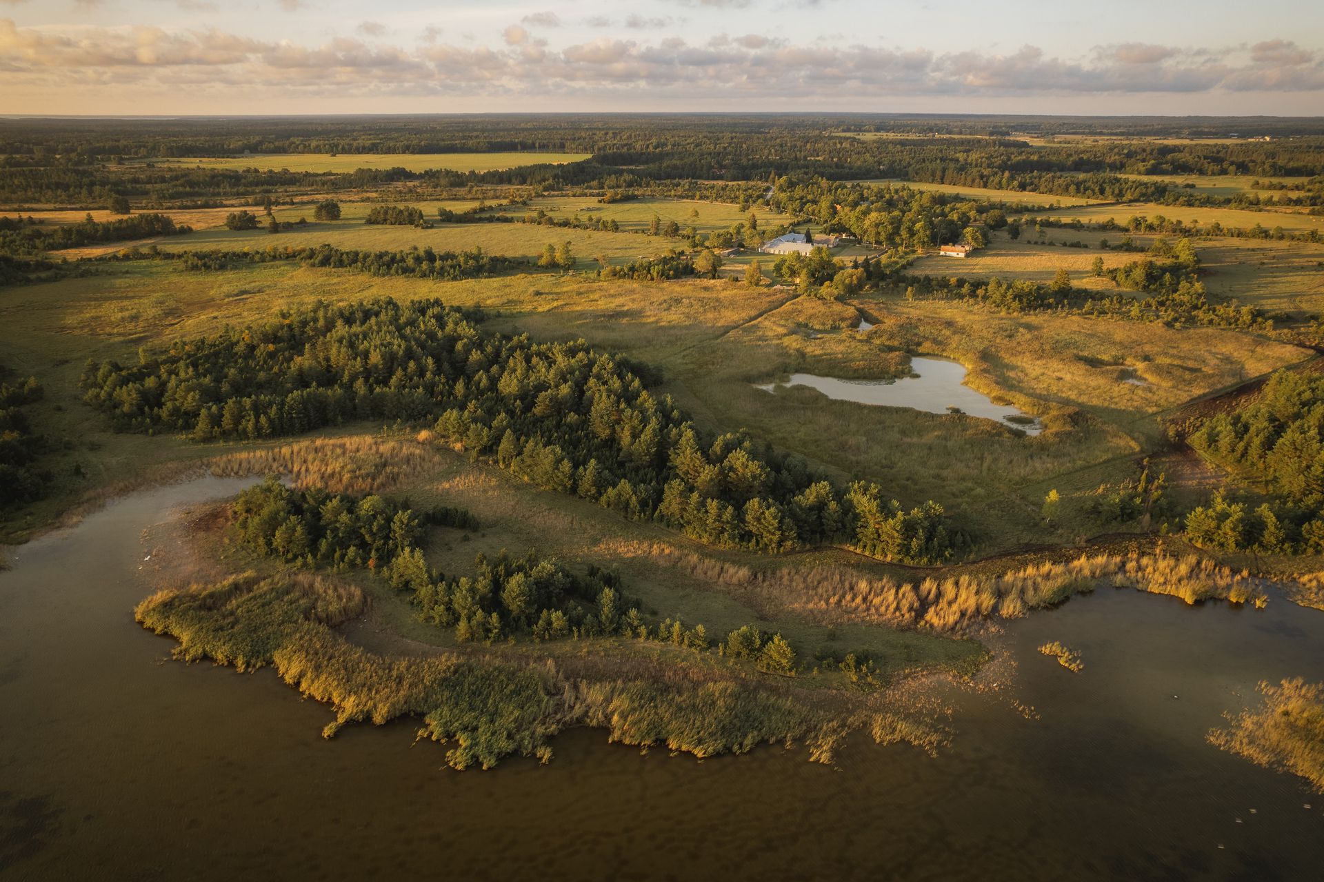 Aerial view of a marshy landscape with water, trees, and fields, bathed in warm sunlight.