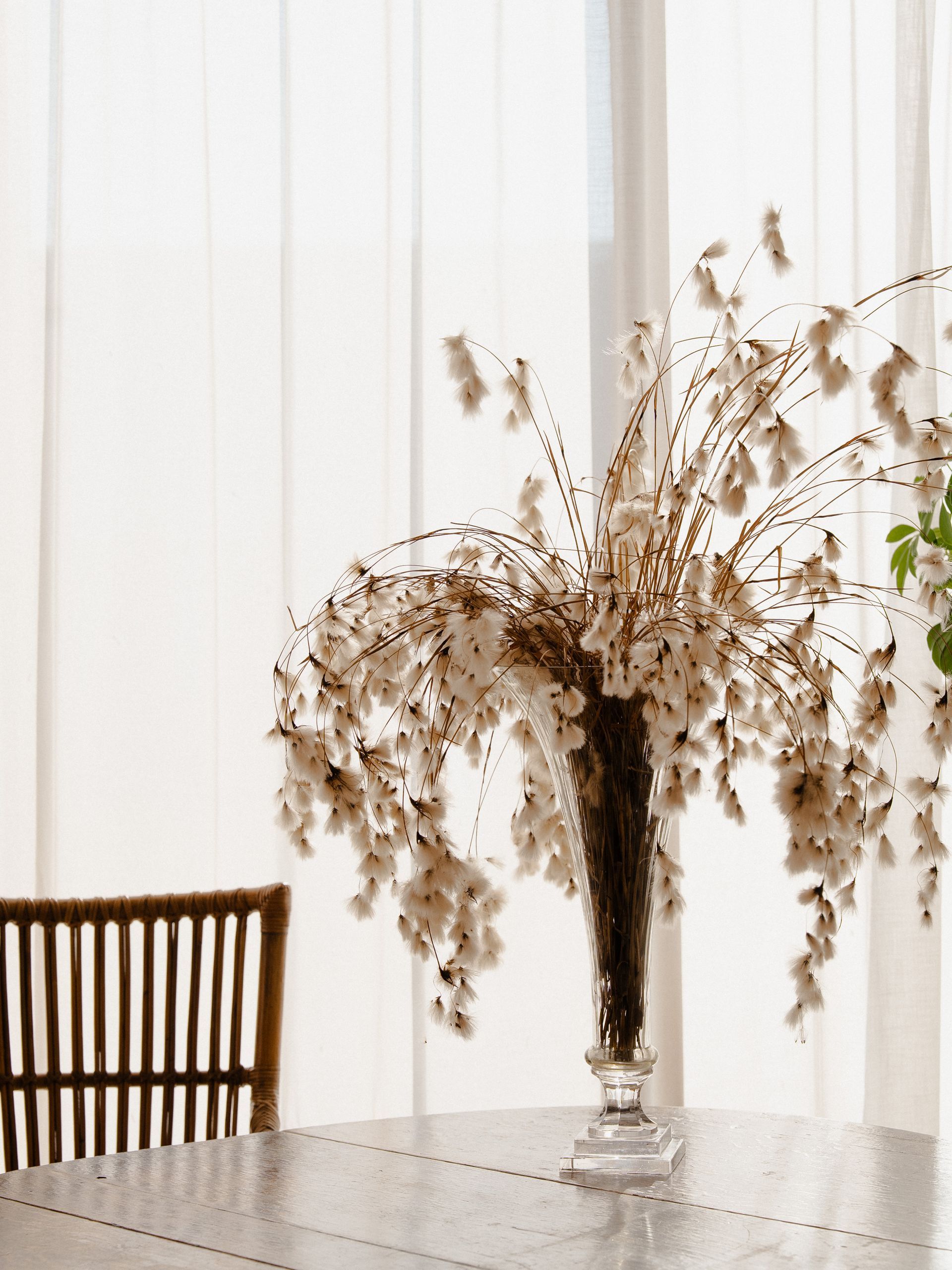 Dried flowers in a crystal vase on a table, with a chair and sheer curtains in the background.