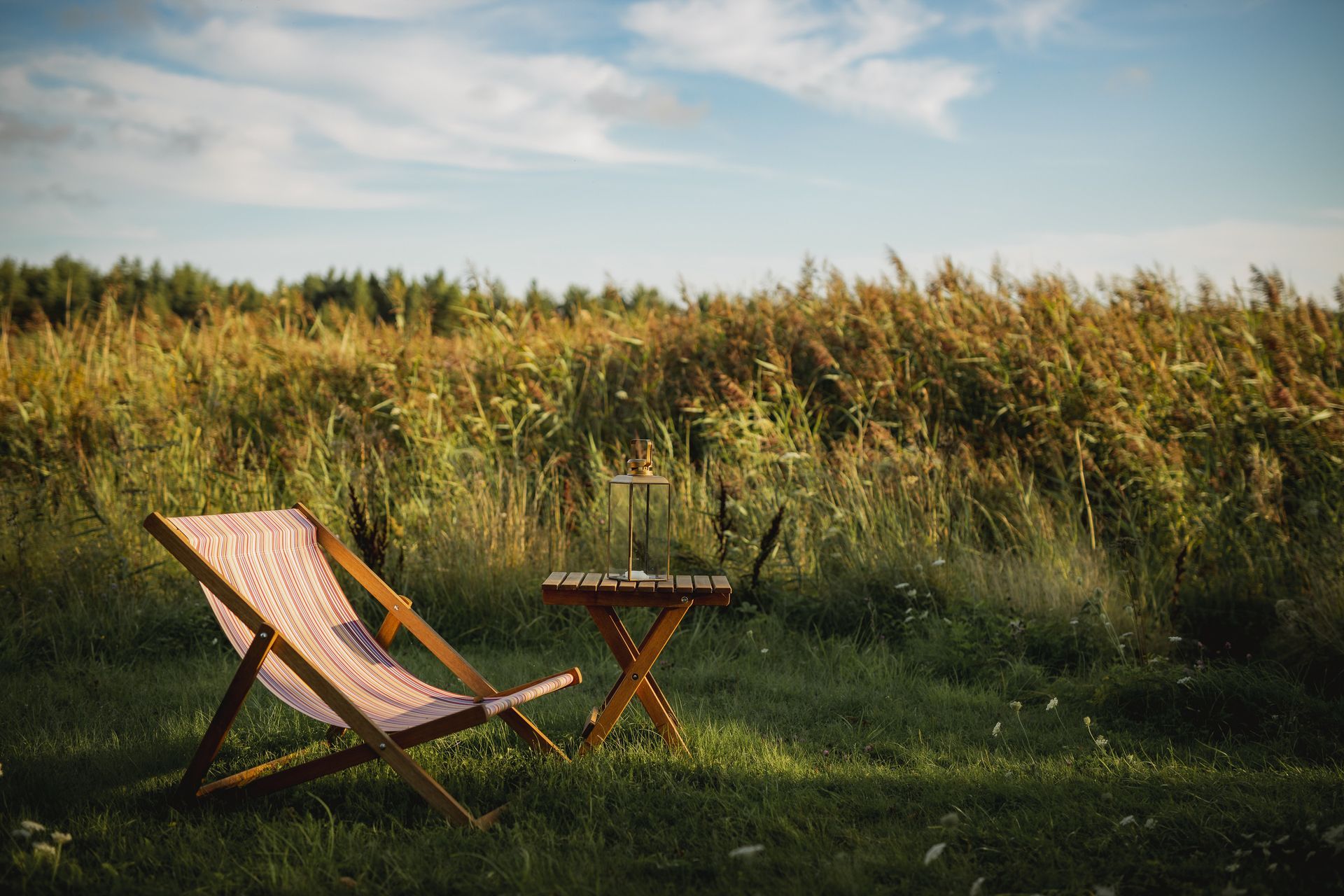 Lawn chair and small table with laptop set up in a grassy field with tall reeds. Sunny day.