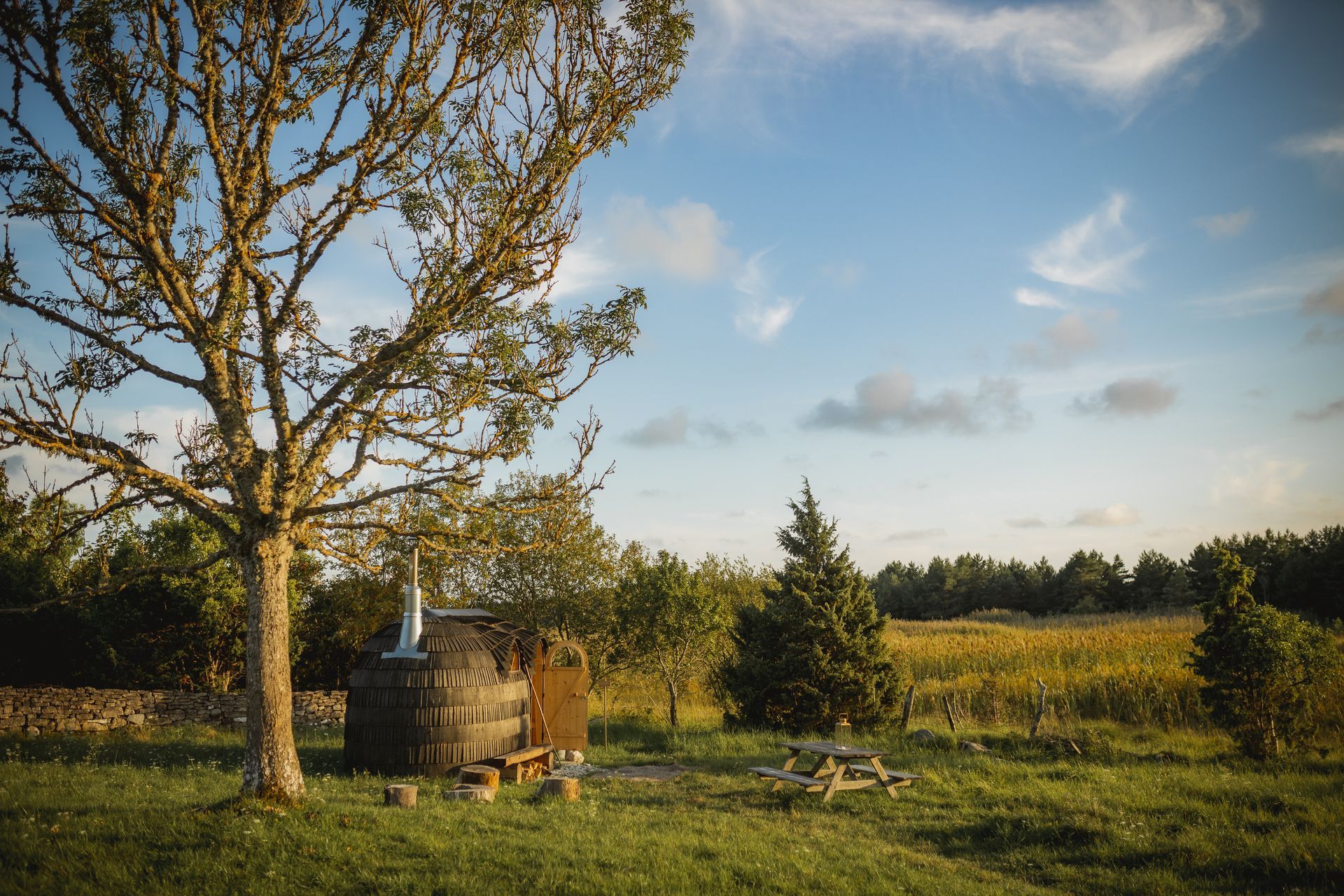 Wooden sauna structure by a tree in a sunny, grassy field.
