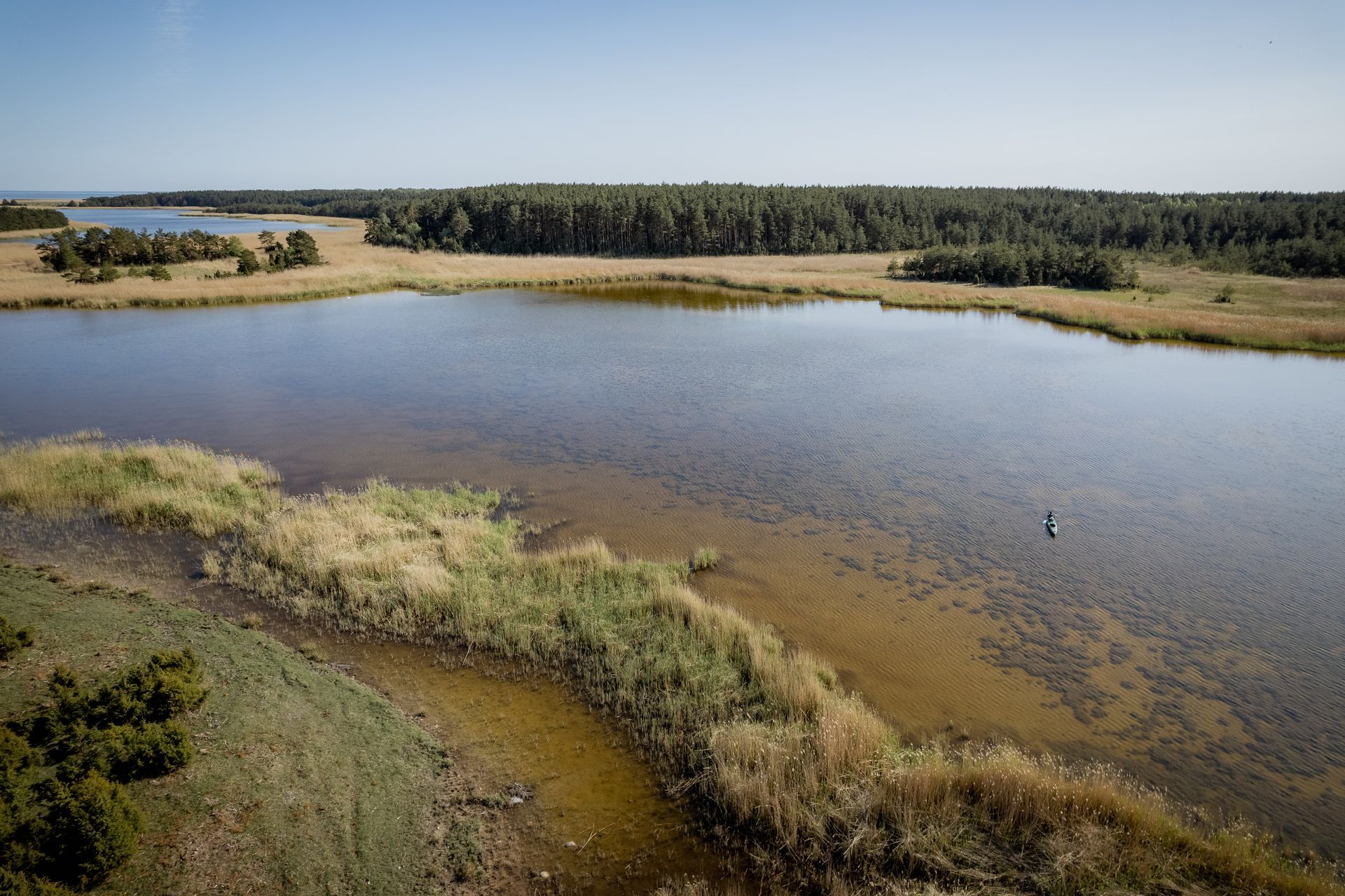 Calm, sunny lake with grassy banks, surrounded by green trees under a blue sky.