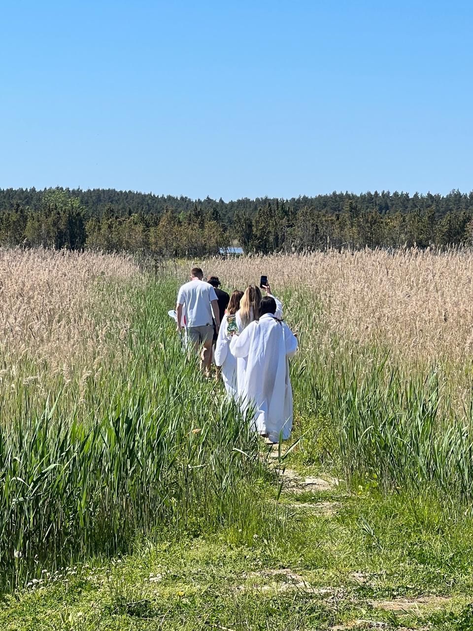 People in white robes walk through tall grass on a sunny day.