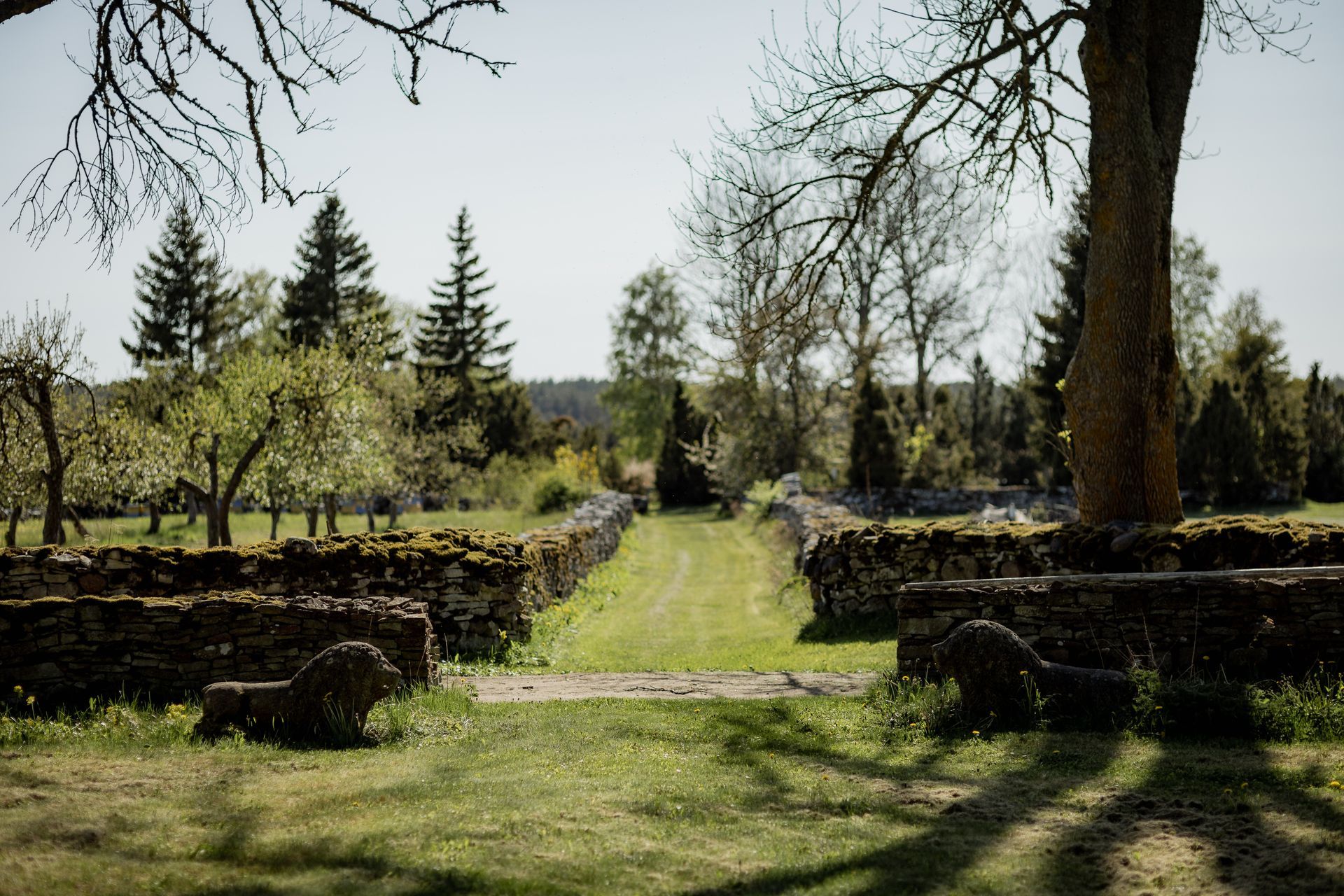 Stone walls frame a grassy path leading to trees under a bright sky.