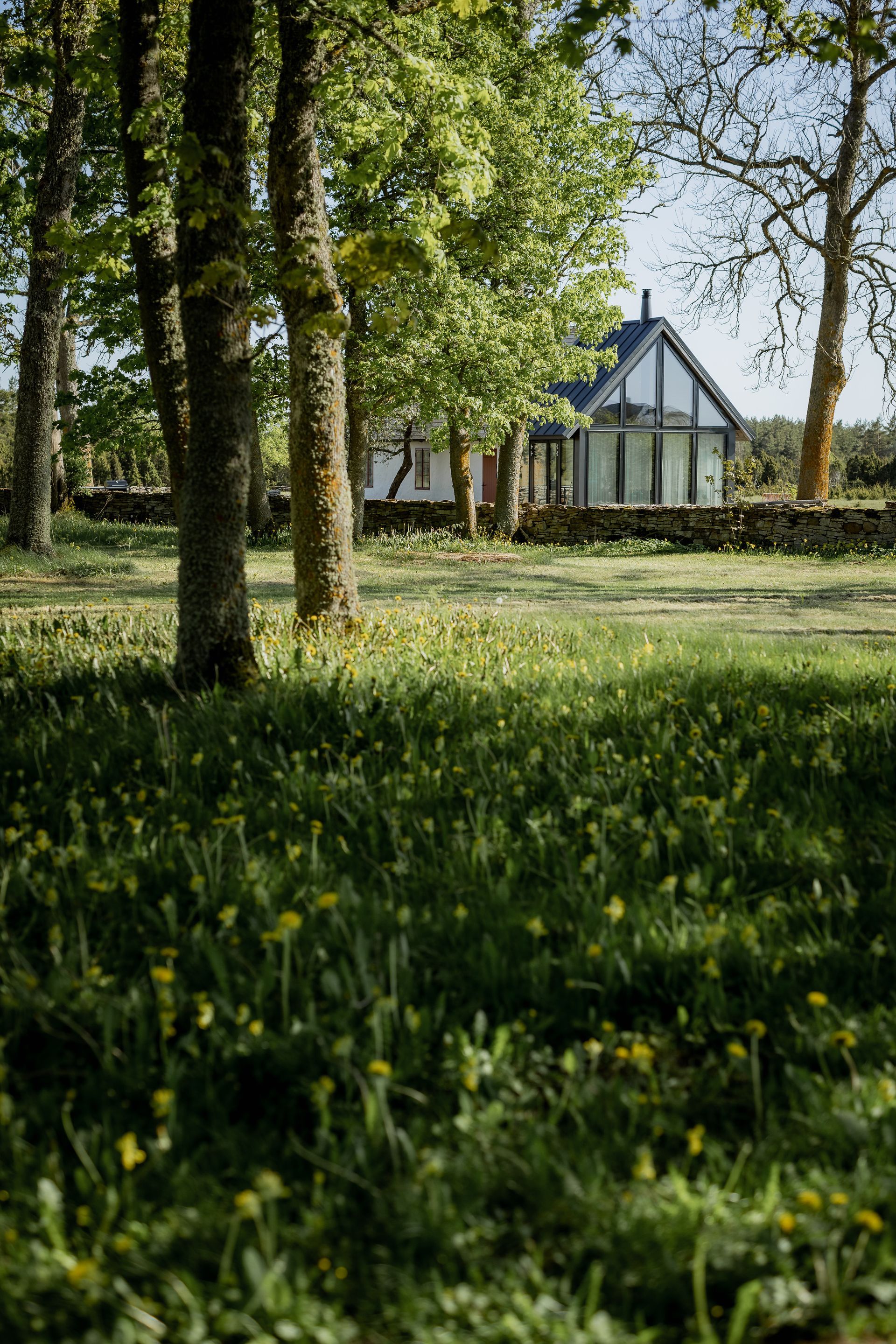 Grassy field with trees framing a white house with dark trim and large windows, bathed in sunlight.