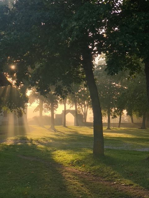 Sunlight streams through trees onto a grassy field with a stone archway in the distance.