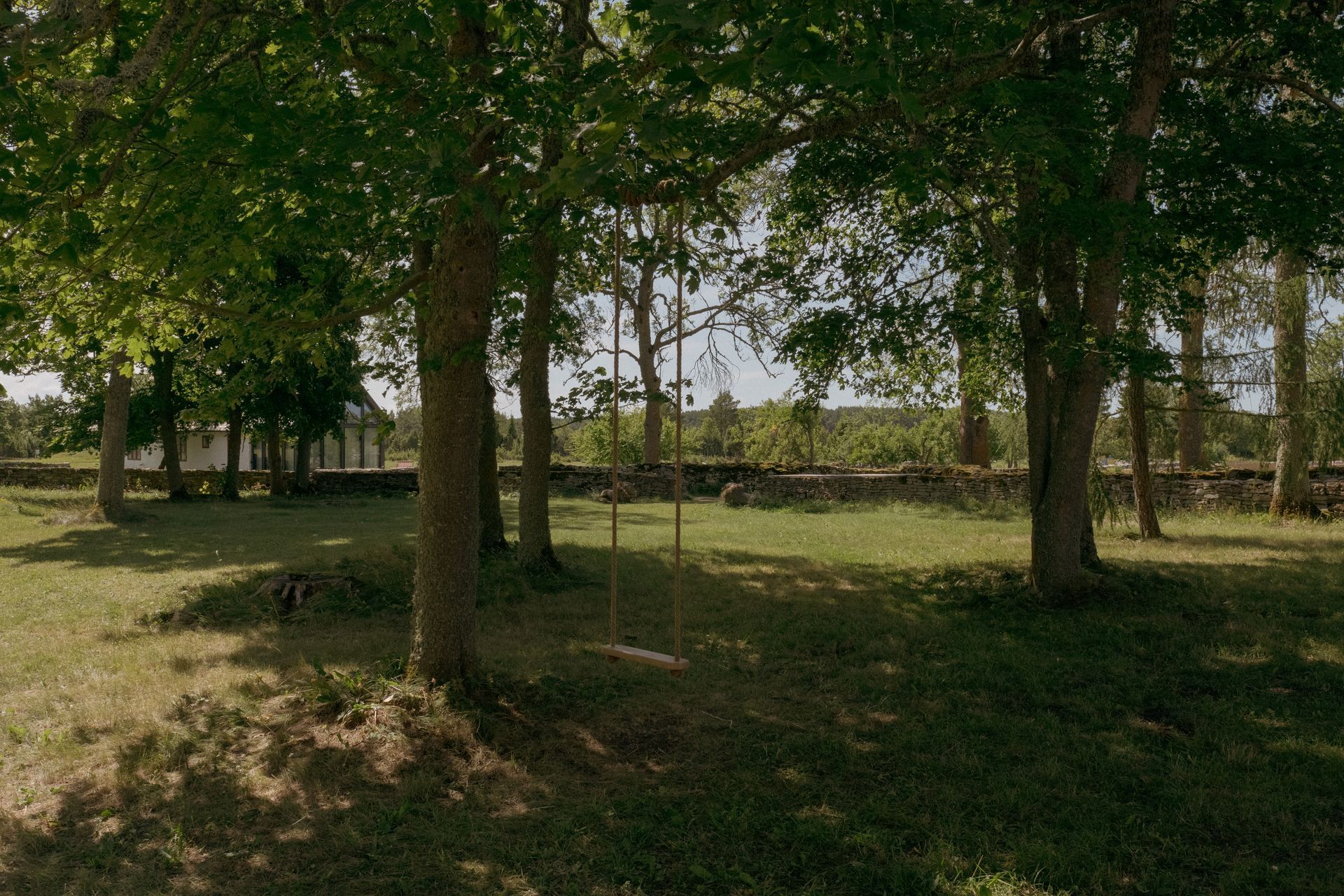Trees in a grassy field with a rope swing, stone wall, and a white building in the background.