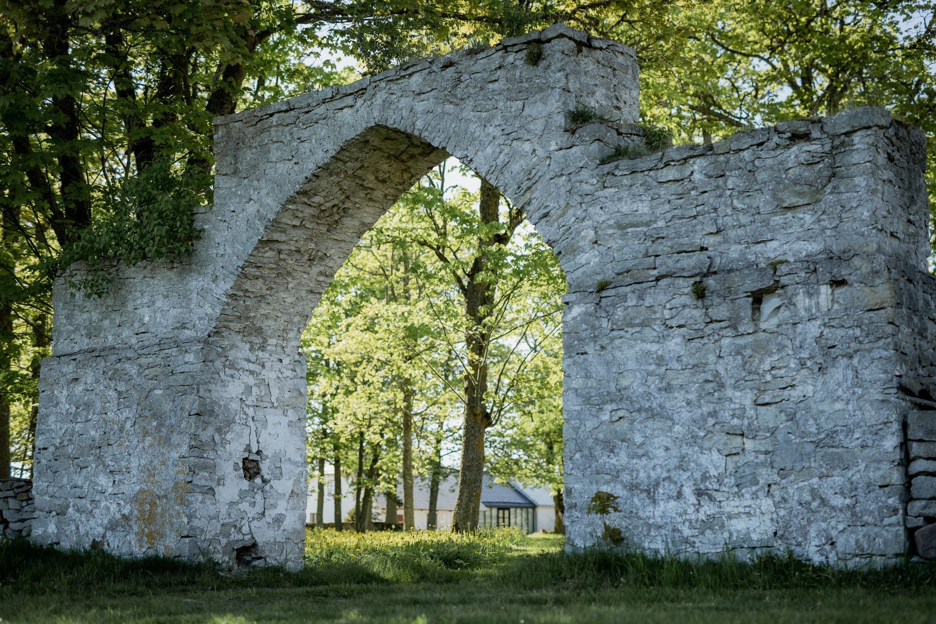 Stone archway ruins in a grassy field, trees visible through the opening.