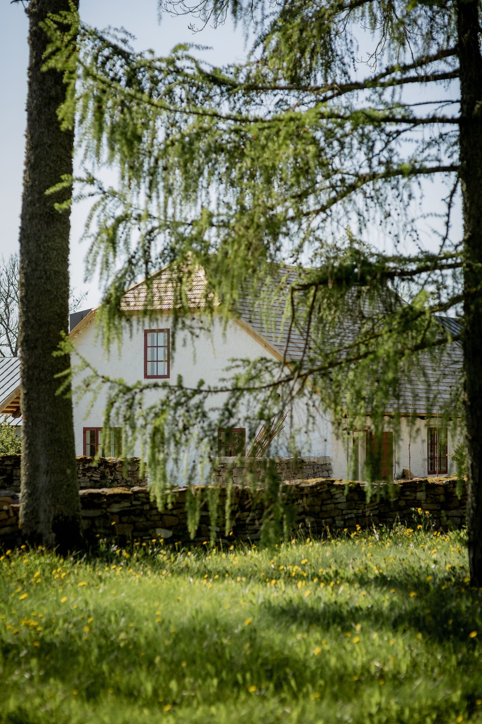 White house behind trees; sunny day.