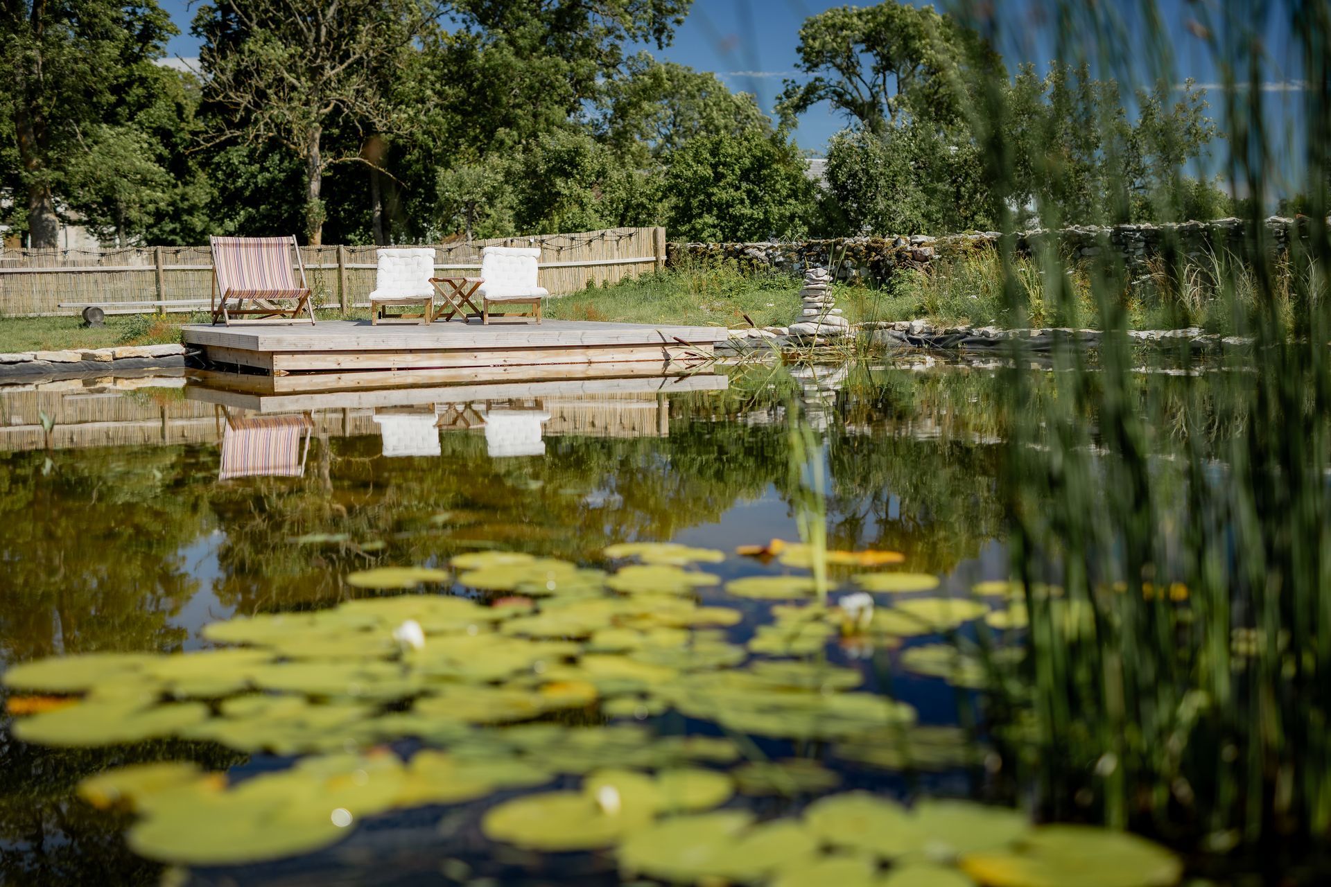 Wooden platform over a pond with lily pads, two chairs, and a fence, with trees and a blue sky in the background.