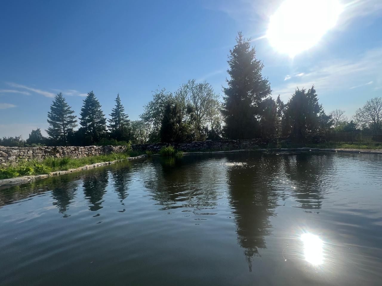 Pond reflecting trees under a bright sun; blue sky above.