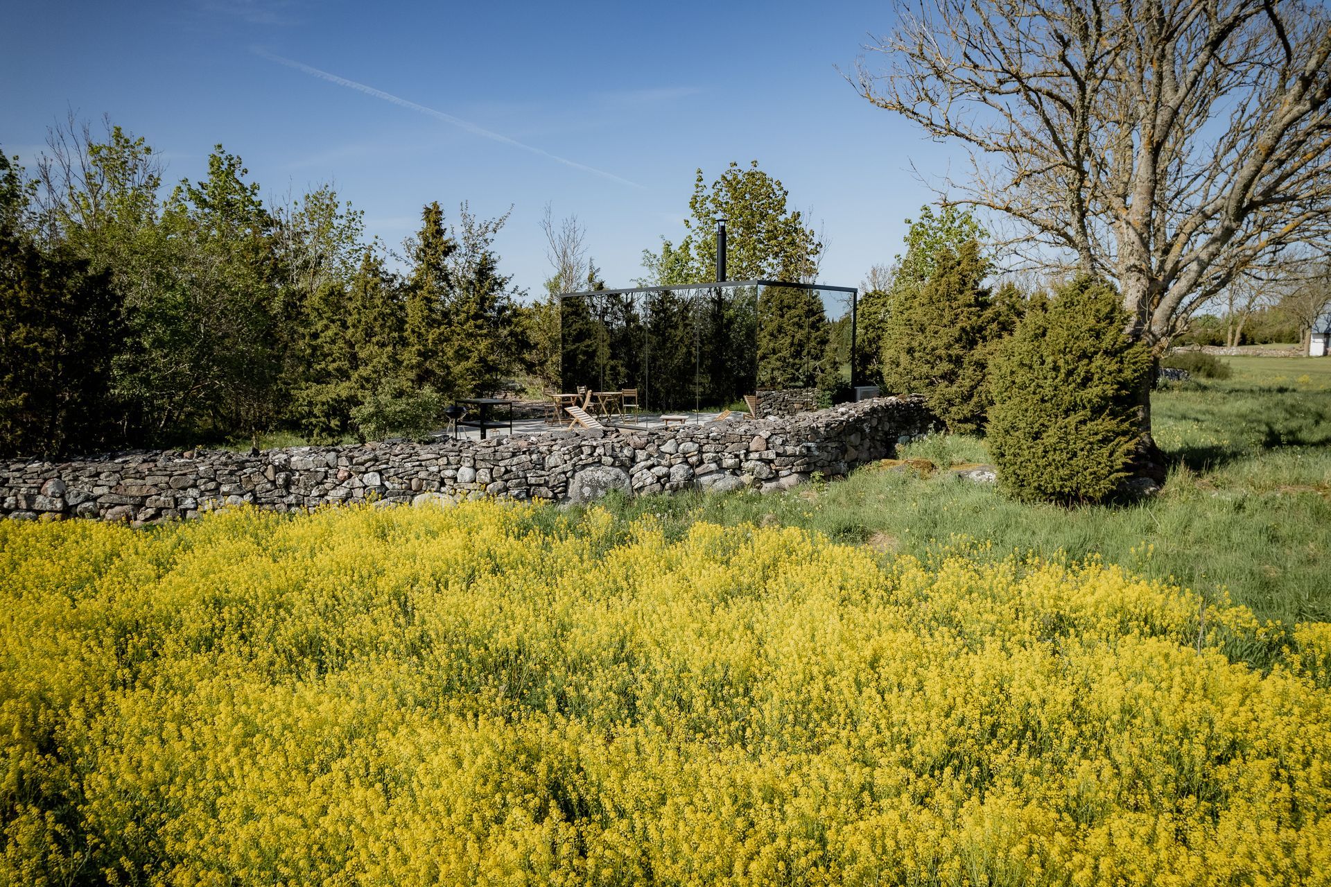 A black mirrored building sits behind a stone wall, surrounded by yellow flowers and green trees under a blue sky.