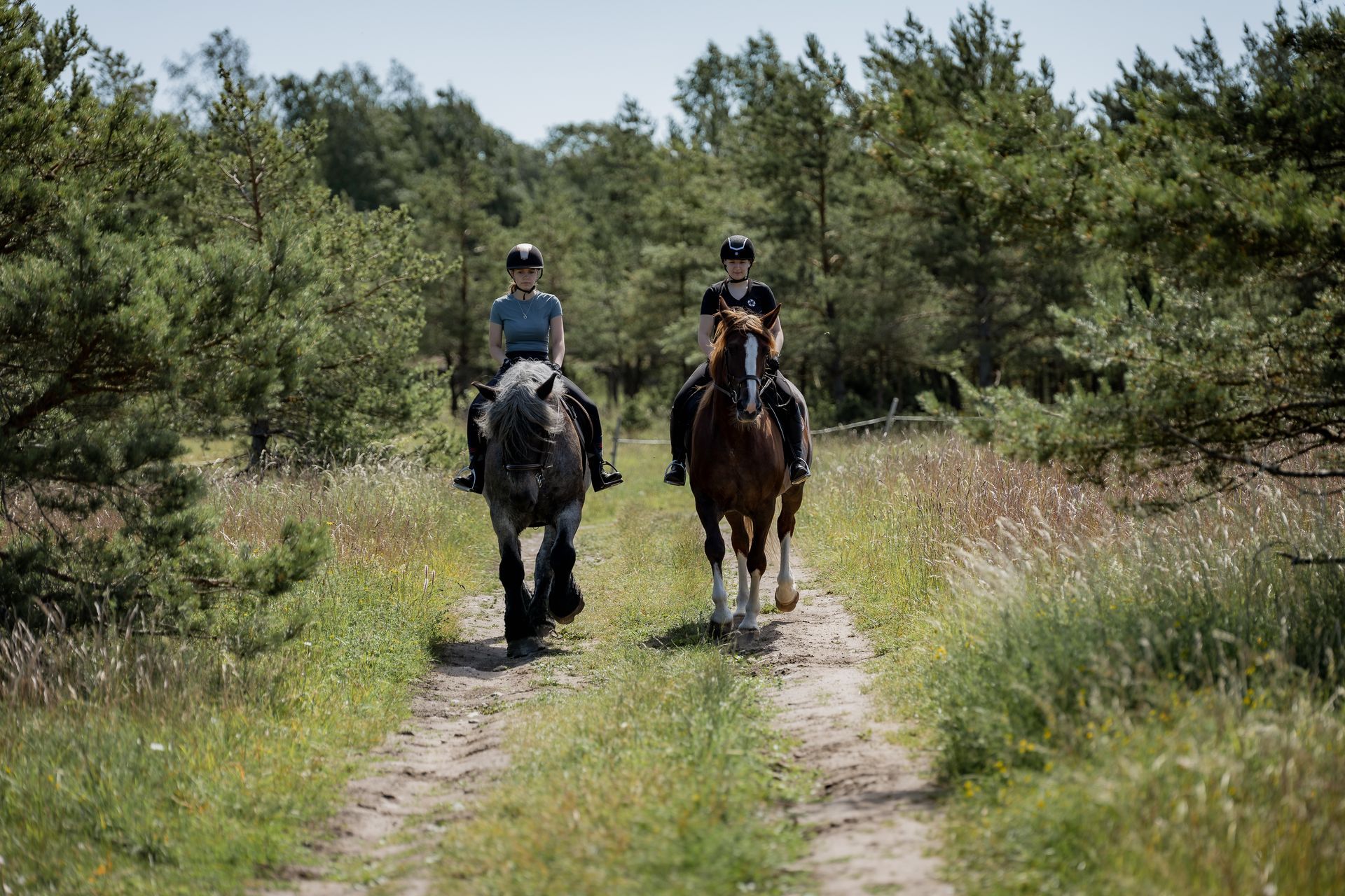 Two people ride horses on a dirt path through a forest.