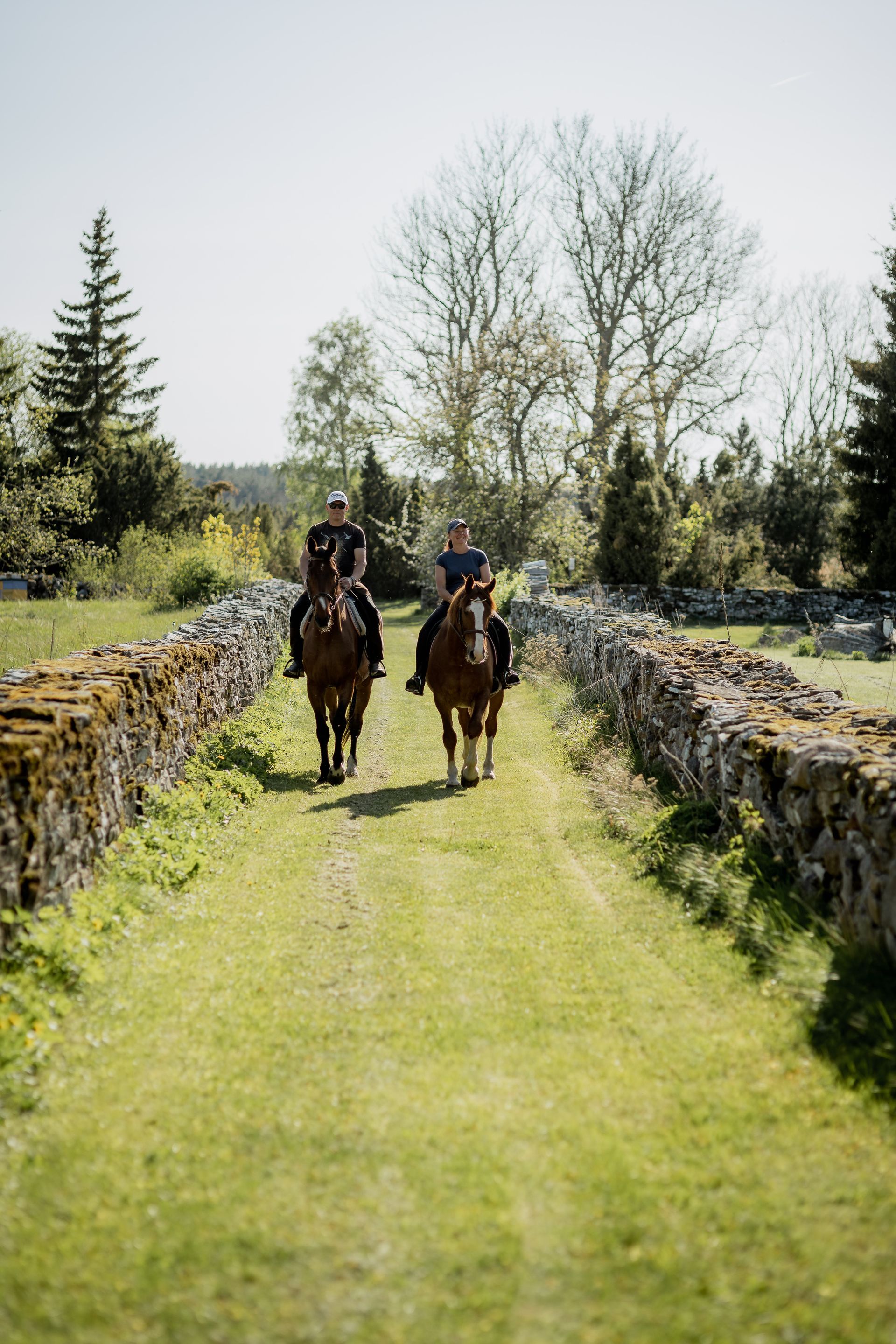 Two people riding horses on a grassy path between stone walls; trees in the background.