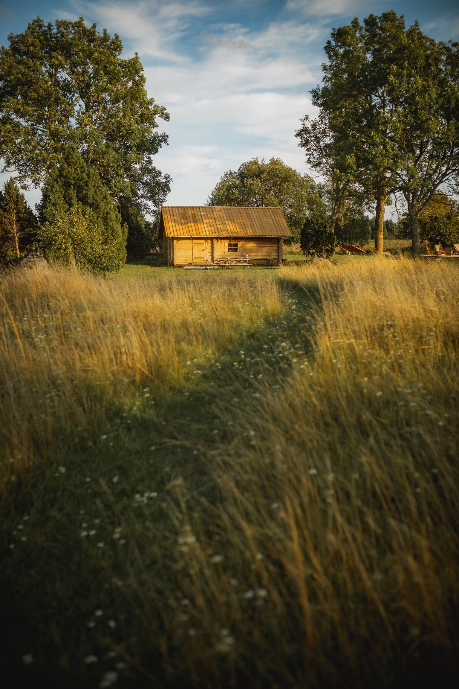 Wooden cabin in a grassy field, flanked by trees, under a blue sky with clouds.