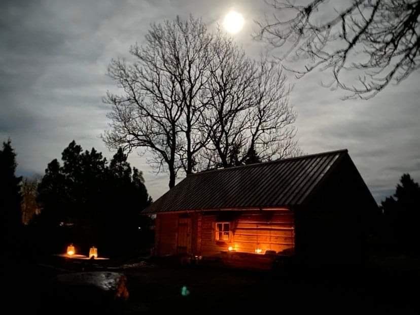 Wooden cabin at night lit by interior lights and a bright moon. Bare tree and dark foliage.