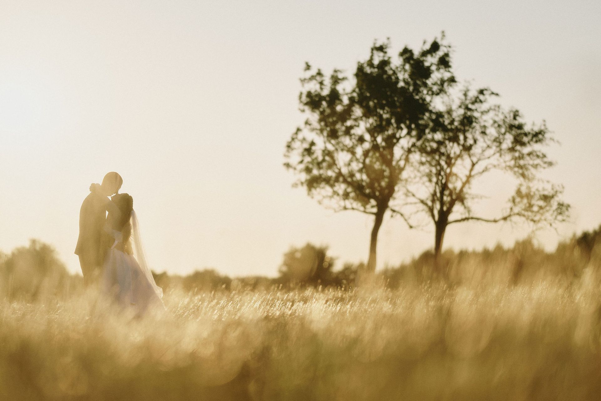 Couple kissing in a field at sunset, silhouetted against a bright sky, with a tree in the background.