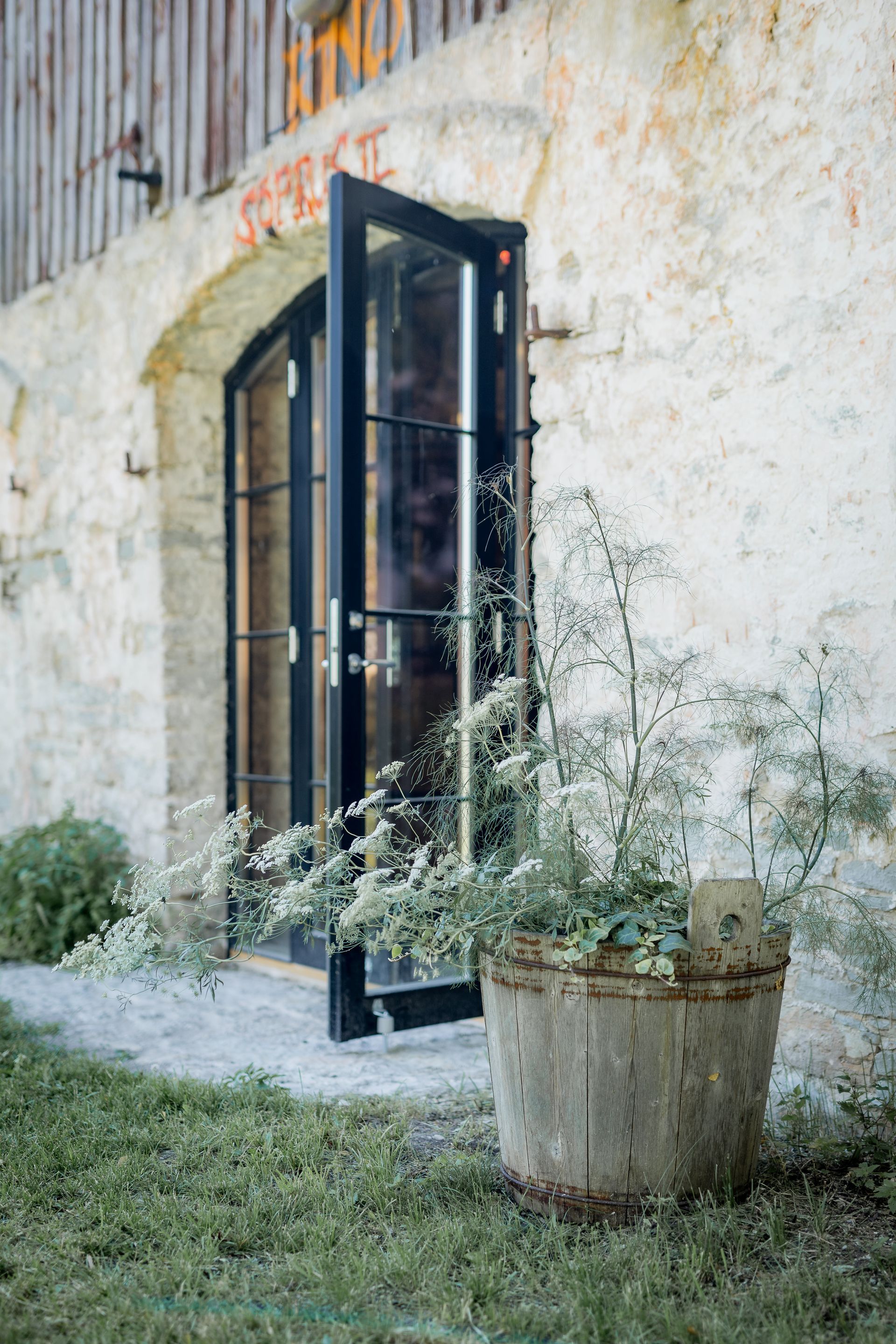 Weathered building with open black doors and a rustic wooden planter with plants.