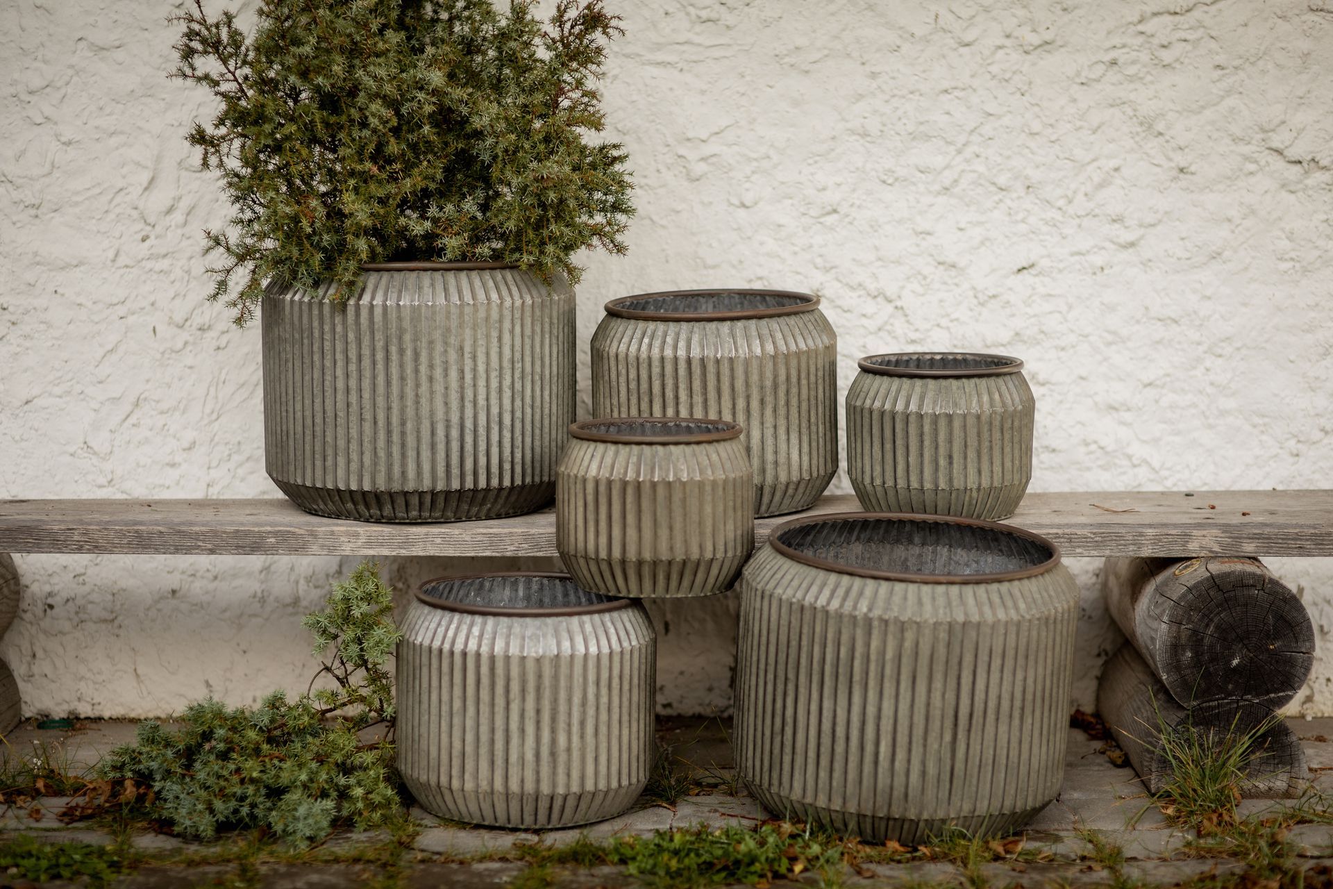 Six ribbed metal planters of varying sizes, some with plants, sit on a wooden ledge against a white wall.