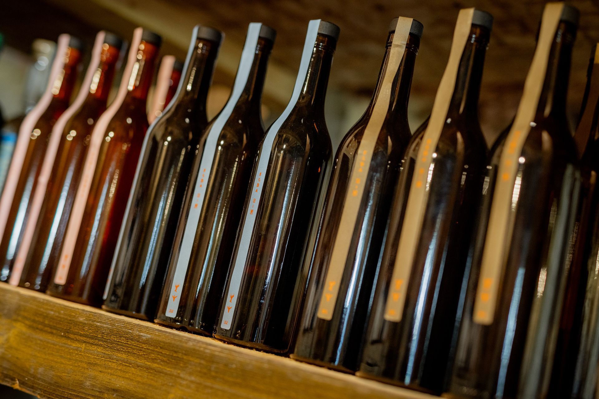 Row of dark wine bottles on a wooden shelf, lit by warm light.