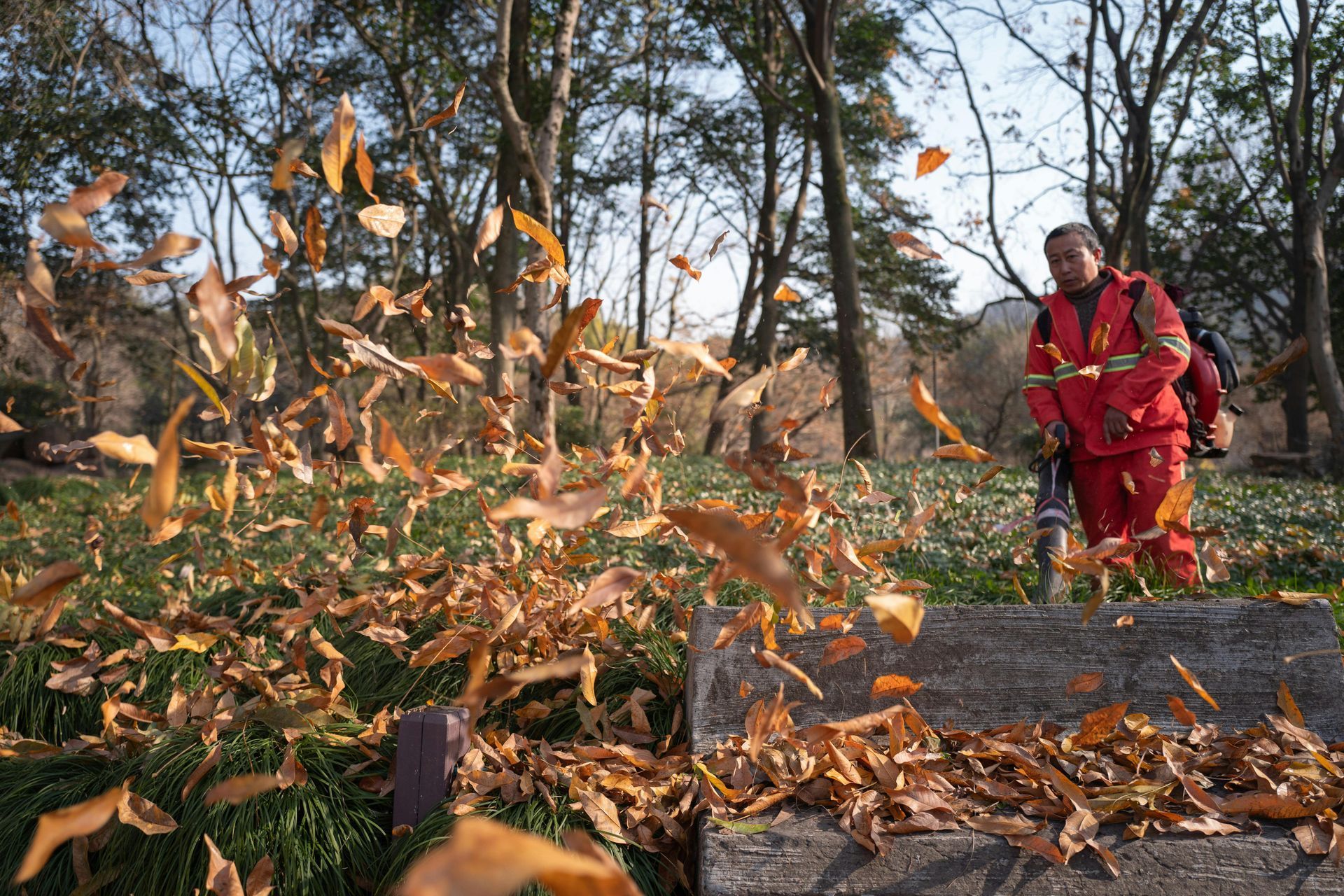A person in red suit uses a leaf blower to blow up brown leaves in a park.